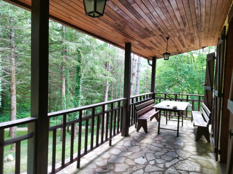 Gîte Le Douglas au domaine du Grézelou Gîte Le Douglas au domaine du Grézelou